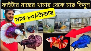 aquarium price in Bangladesh।। aquarium fish price in Bangladesh।। fish farm Bangladesh।। aquarium।। [upl. by Reagan]