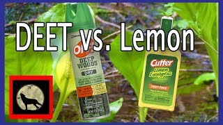 Best Mosquito Repellent  Actual in the field Battle Off with DEET vs Cutters Lemon Eucalyptus [upl. by Niles21]