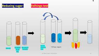 Phytochemical tests for plant material [upl. by Dillon534]