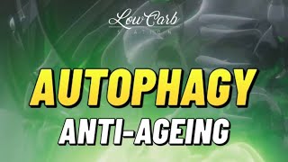 Autophagy AntiAgeing [upl. by Nalahs91]