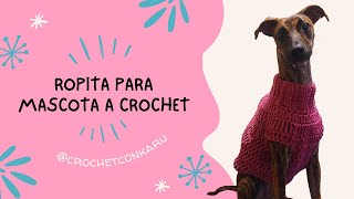 CÓMO TEJER UNA ROPITA A CROCHET PARA TU MASCOTA  CROCHET CON KARU [upl. by Mmada]