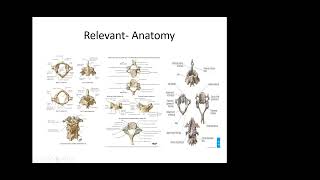 Cervical Spondylotic Myelopathy [upl. by Ledif]