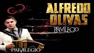 Privilegio Alfredo Olivas 2015 LETRA [upl. by Indys]