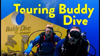 Is Buddy Dive Resort for You [upl. by Araccat935]