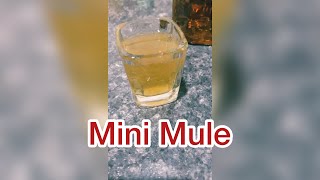 Mini Mule Drink  Half Lit Cocktails [upl. by Fay]