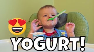 ANDREW EATS YOGURT [upl. by Gahl]