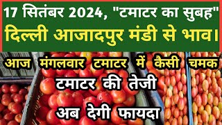 17 सितंबर 2024 टमाटर का भाव Azadpur Delhi Mandi Today delhifruitmarket tomato tomatoes dmt tv [upl. by Nedarb]