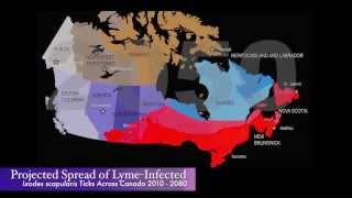 The Projected Spread Of LymeInfected Ticks Across Canada 2010  2080 [upl. by Pytlik755]