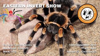 Invert Shows UK  Eastern Invertebrate Show [upl. by Sainana514]