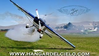 TRAILER II  ESCUADRILLA ARGENTINA DE ACROBACIA AÉREA [upl. by Sim]