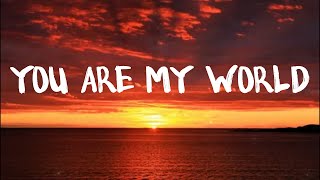 Youre My World  Tom Jones  Lyrics Video [upl. by Napas]