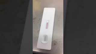 JOYSBIO SARSCOV2 Antigen Rapid Test Kit  Field Video from EU User [upl. by Goran]