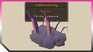 Chaos Elemental Pet Drop 🦑🌩️ OSRS Old School RuneScape [upl. by Eva40]