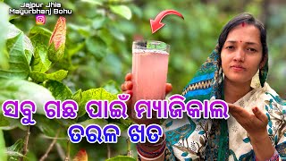 ସବୁ ଗଛ ପାଇଁ ଗୋଟେ ତରଳ ଖତMagical Liquid Fertilizer For Flowering Plant gardening organic winter [upl. by Ylrrad]