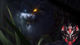 와일드리프트 이 맛에 극딜렝가 못 끊지 WILD RIFT RENGAR [upl. by Euell584]