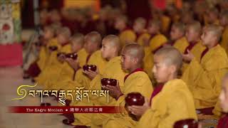 36th Kagyu Monlam  Day Four  Morning Session [upl. by Jennifer]