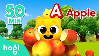 ABC Song for Kids｜Alphabet Balloon  More｜Jingle Play｜Learn Colors for Kids｜Hogi Pinkfong [upl. by Light]