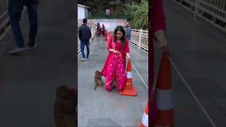 The monkeys at kainchidham were not ready to leave mahhivij 🐒 filmykalakar [upl. by Arved]