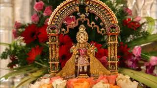 BAPS Swaminarayan Dhun Jaydeep Swadia [upl. by Nihs756]