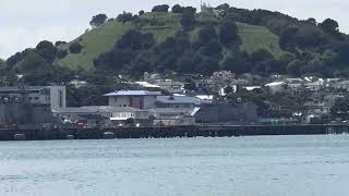 Hey NZ Navy devonport [upl. by Sualkin944]