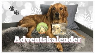 FÜR HUNDEFREUNDE ❤️ wiederverwendbare Adventskalender [upl. by Ardisj]