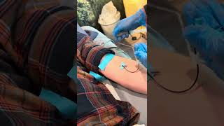 Insertion of closed catheter IV and saline flush demonstration [upl. by Duncan]