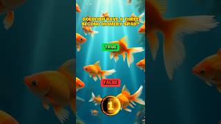 Do Goldfish Really Have a 3Second Memory🐟  TRUE and FALSE  education quiz true false shorts [upl. by Notlek]