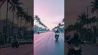 Midnight Mirage Synthwave Journeys through Palm Beach 🌌🏖️🔊 [upl. by Anuaik]