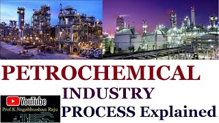 Petrochemical Industry  Process Overview  Detailed Explanation [upl. by Hiro]