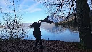 Attersee Austria Autumn 2024 [upl. by Zelde677]