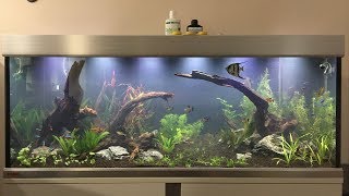 Réfection complète Aquarium 300 Litres [upl. by Zenda]