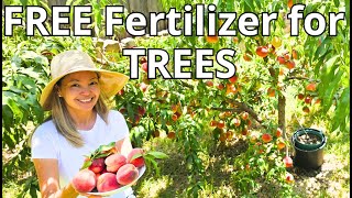 FREE fertilizer for TREES [upl. by Yesteb]