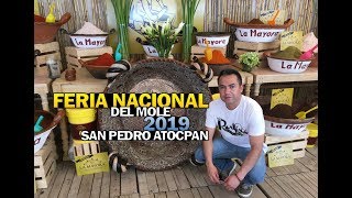 FERIA NACIONAL DEL MOLE 2019  SAN PEDRO ATOCPAN ¿QUE HACER [upl. by Westberg]