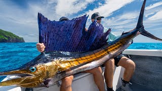 MASSIVE Mexican Sailfish Catch Clean Cook [upl. by Boni]