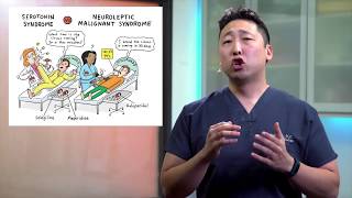 Differences Between Serotonin Syndrome and Neuroleptic Malignant Syndrome [upl. by Endo207]