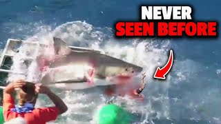 The Most Gruesome Shark Attacks Ever Recorded [upl. by Meehyrb]