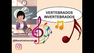 Canción de los Animales vertebrados e invertebrados Rosa ♥ [upl. by Jaimie942]