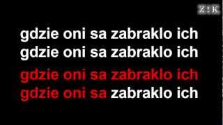 ♫♪♫♪ Republika  Biała flaga  Zajebiste karaoke z linią melodyczną [upl. by Turne277]