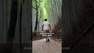 Arashiyama bamboo forest  Kyoto  Japan  Shorts [upl. by Cirdek]