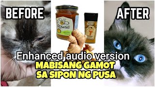 Gamot sa ubo at sipon ng pusa  Paano gamutin ang sipon at ubo  short version and enhanced audio [upl. by Peggi]