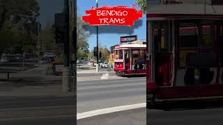 Bendigo 🚃 Trams Bendigo Victoria Australia 🇦🇺 exploreaustralia australiancity australiatrams [upl. by Gautious]