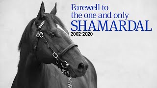 Farewell to the one and only Shamardal [upl. by Hax]