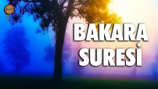 Bakara Suresi  Evdeki Geçimsizliğe Huzursuzluğa Sıkıntılarınıza Şifa  Eyad Mohra [upl. by Aronaele234]