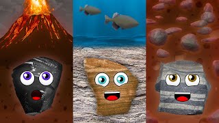 3 Types of Rocks and The Rock Cycle [upl. by Ardried]