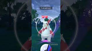 FINALLY FOUND A STRONG ZANGOOSE pokemon pokemongo pokemoncommunity [upl. by Hara]