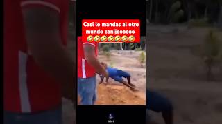 Casi se lo echa 🤣🤣 videoschistosos videosdivertidos risas comedia funnyvideo humor chistes [upl. by Okimik]