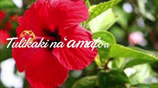 Kakala ko hoto feao Lyrics Jboi [upl. by Jacquenette]