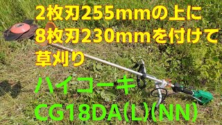 2枚刃255mmの上に8枚刃230mmを付けて草刈り ハイコーキ CG18DALNN 20240613 [upl. by Arbe]