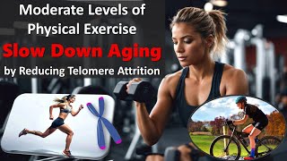 Different Types of Regular Physical Activity SLOW DOWN AGING by Reducing Telomere Attrition [upl. by Teerprah214]