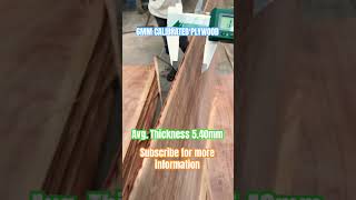 6MM CALIBRATED PLYWOOD plywood knowledge pankajsharma shorts calibrate plyboard doors 100k [upl. by Trebbor]